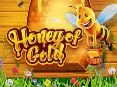 24Play Casino screenshot